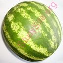 watermelon (Oops! image not found)
